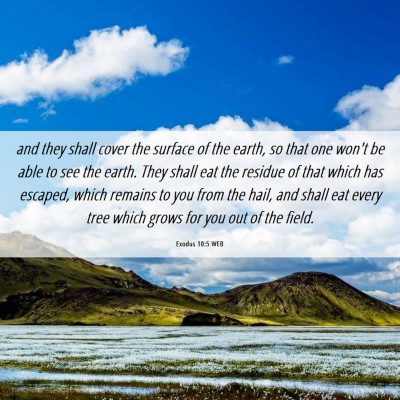 Picture 06 - Exodus 10:5 WEB - and they shall cover the surface of the earth, so - Bible Verse Picture
