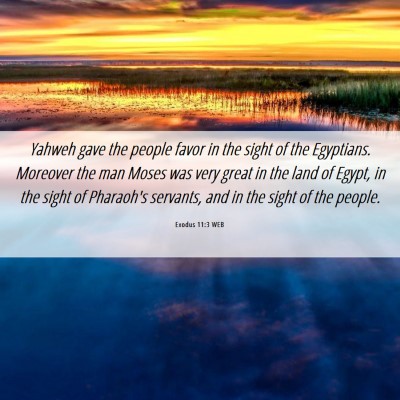 Picture 06 - Exodus 11:3 WEB - Yahweh gave the people favor in the sight of the - Bible Verse Picture