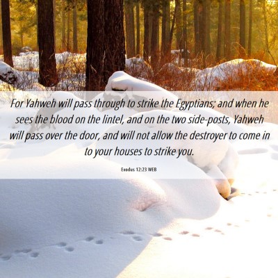Picture 06 - Exodus 12:23 WEB - For Yahweh will pass through to strike the - Bible Verse Picture