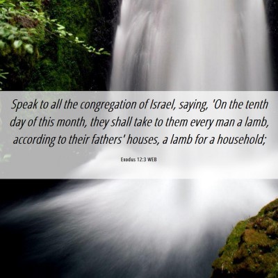 Picture 06 - Exodus 12:3 WEB - Speak to all the congregation of Israel, saying, - Bible Verse Picture