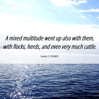 Picture 06 - Exodus 12:38 WEB - A mixed multitude went up also with them, with - Bible Verse Picture