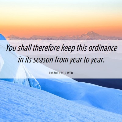Picture 06 - Exodus 13:10 WEB - You shall therefore keep this ordinance in its - Bible Verse Picture