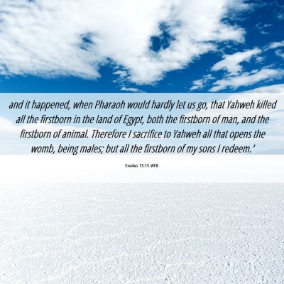 Picture 06 - Exodus 13:15 WEB - and it happened, when Pharaoh would hardly let us - Bible Verse Picture