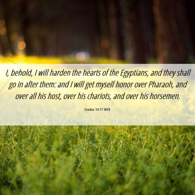 Picture 06 - Exodus 14:17 WEB - I, behold, I will harden the hearts of the - Bible Verse Picture
