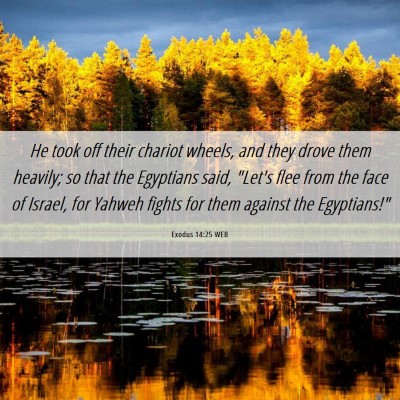 Picture 06 - Exodus 14:25 WEB - He took off their chariot wheels, and they drove - Bible Verse Picture