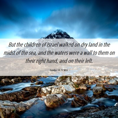 Picture 06 - Exodus 14:29 WEB - But the children of Israel walked on dry land in - Bible Verse Picture