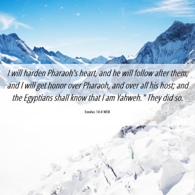Picture 06 - Exodus 14:4 WEB - I will harden Pharaoh's heart, and he will follow - Bible Verse Picture