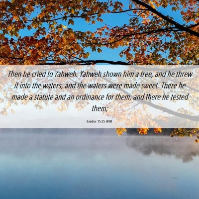 Picture 06 - Exodus 15:25 WEB - Then he cried to Yahweh. Yahweh shown him a tree, - Bible Verse Picture