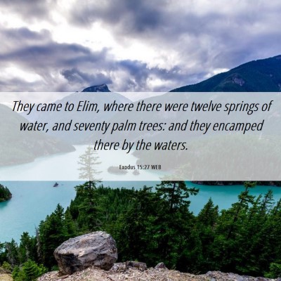 Picture 06 - Exodus 15:27 WEB - They came to Elim, where there were twelve - Bible Verse Picture