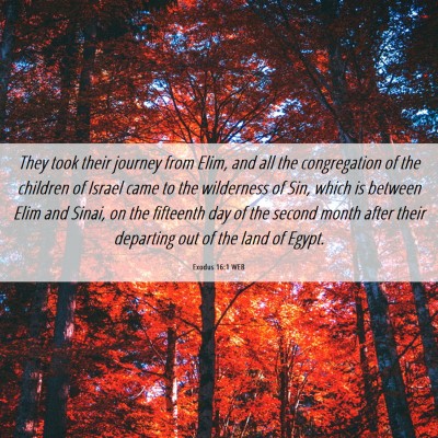 Picture 06 - Exodus 16:1 WEB - They took their journey from Elim, and all the - Bible Verse Picture