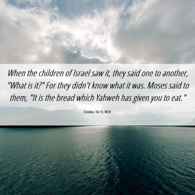 Picture 06 - Exodus 16:15 WEB - When the children of Israel saw it, they said one - Bible Verse Picture