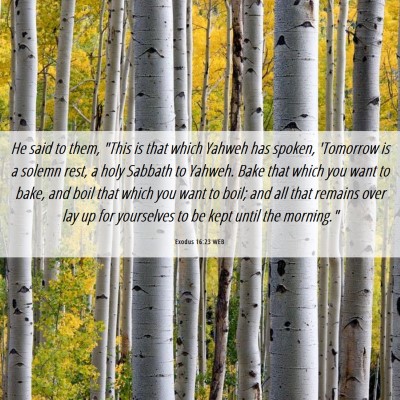 Picture 06 - Exodus 16:23 WEB - He said to them, 