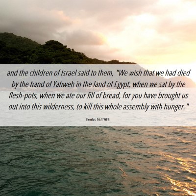 Picture 06 - Exodus 16:3 WEB - and the children of Israel said to them, 