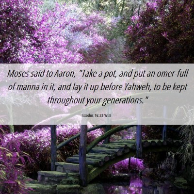 Picture 06 - Exodus 16:33 WEB - Moses said to Aaron, 
