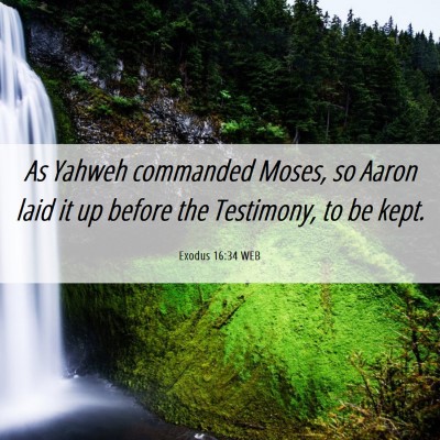 Picture 06 - Exodus 16:34 WEB - As Yahweh commanded Moses, so Aaron laid it up - Bible Verse Picture