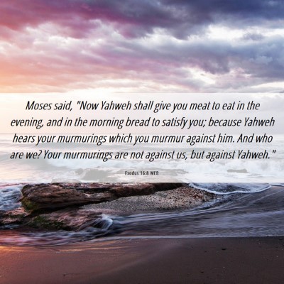 Picture 06 - Exodus 16:8 WEB - Moses said, 