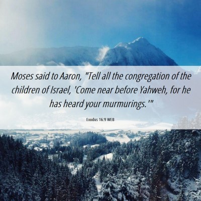 Picture 06 - Exodus 16:9 WEB - Moses said to Aaron, 