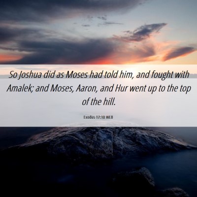 Picture 06 - Exodus 17:10 WEB - So Joshua did as Moses had told him, and fought - Bible Verse Picture