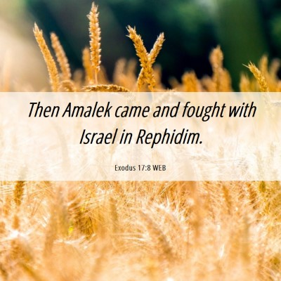 Picture 06 - Exodus 17:8 WEB - Then Amalek came and fought with Israel in - Bible Verse Picture