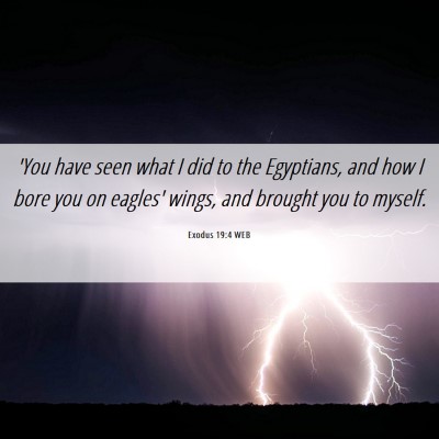 Picture 06 - Exodus 19:4 WEB - 'You have seen what I did to the Egyptians, and - Bible Verse Picture