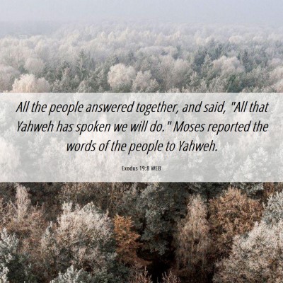 Picture 06 - Exodus 19:8 WEB - All the people answered together, and said, 