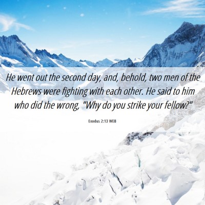 Picture 06 - Exodus 2:13 WEB - He went out the second day, and, behold, two men - Bible Verse Picture