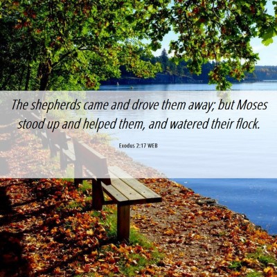 Picture 06 - Exodus 2:17 WEB - The shepherds came and drove them away; but Moses - Bible Verse Picture