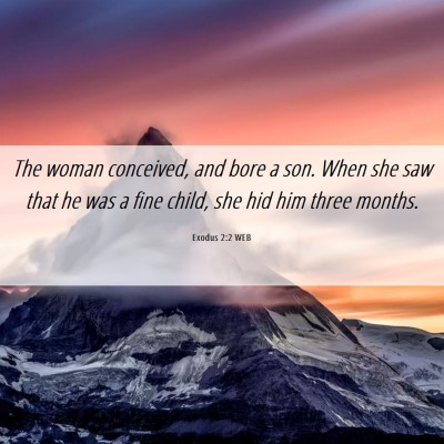 Picture 06 - Exodus 2:2 WEB - The woman conceived, and bore a son. When she saw - Bible Verse Picture