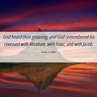 Picture 06 - Exodus 2:24 WEB - God heard their groaning, and God remembered his - Bible Verse Picture