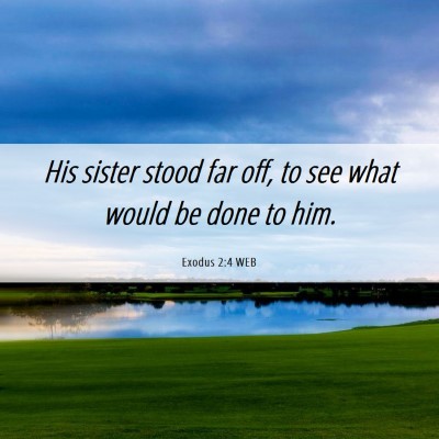 Picture 06 - Exodus 2:4 WEB - His sister stood far off, to see what would be - Bible Verse Picture