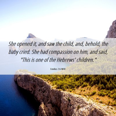 Picture 06 - Exodus 2:6 WEB - She opened it, and saw the child, and, behold, - Bible Verse Picture