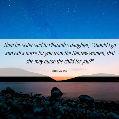 Picture 06 - Exodus 2:7 WEB - Then his sister said to Pharaoh's daughter, - Bible Verse Picture