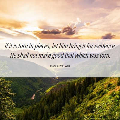 Picture 06 - Exodus 22:13 WEB - If it is torn in pieces, let him bring it for - Bible Verse Picture