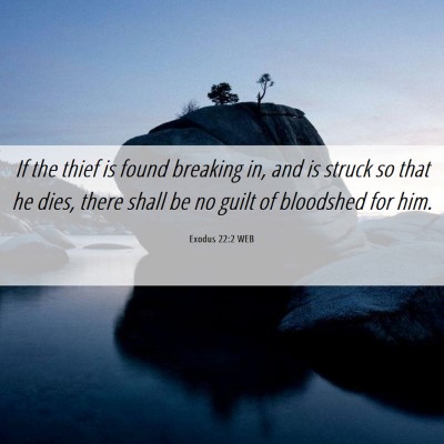 Picture 06 - Exodus 22:2 WEB - If the thief is found breaking in, and is struck - Bible Verse Picture