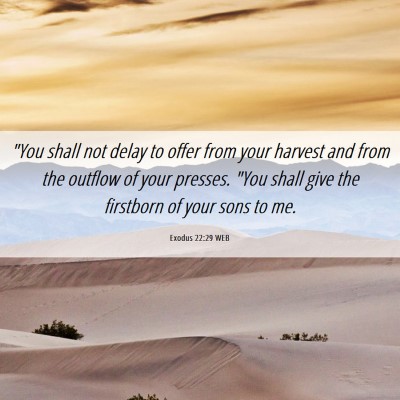 Picture 06 - Exodus 22:29 WEB - 