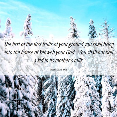 Picture 06 - Exodus 23:19 WEB - The first of the first fruits of your ground you - Bible Verse Picture