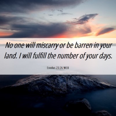 Picture 06 - Exodus 23:26 WEB - No one will miscarry or be barren in your land. I - Bible Verse Picture