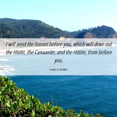 Picture 06 - Exodus 23:28 WEB - I will send the hornet before you, which will - Bible Verse Picture