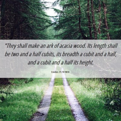 Picture 06 - Exodus 25:10 WEB - 