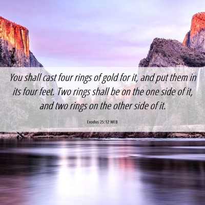 Picture 06 - Exodus 25:12 WEB - You shall cast four rings of gold for it, and put - Bible Verse Picture