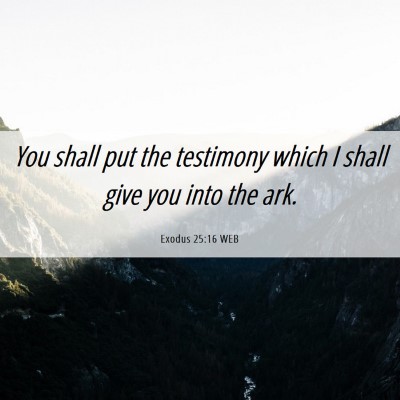 Picture 06 - Exodus 25:16 WEB - You shall put the testimony which I shall give - Bible Verse Picture