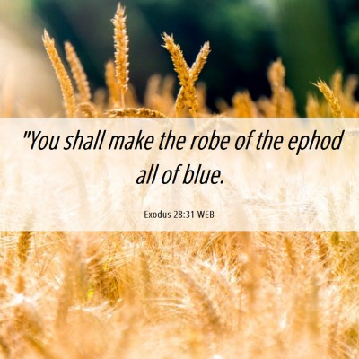 Picture 06 - Exodus 28:31 WEB - 
