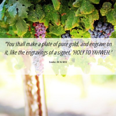 Picture 06 - Exodus 28:36 WEB - 