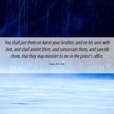 Picture 06 - Exodus 28:41 WEB - You shall put them on Aaron your brother, and on - Bible Verse Picture