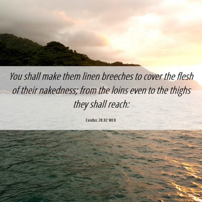 Picture 06 - Exodus 28:42 WEB - You shall make them linen breeches to cover the - Bible Verse Picture