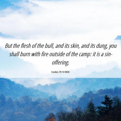 Picture 06 - Exodus 29:14 WEB - But the flesh of the bull, and its skin, and its - Bible Verse Picture