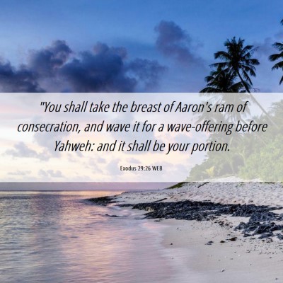 Picture 06 - Exodus 29:26 WEB - 