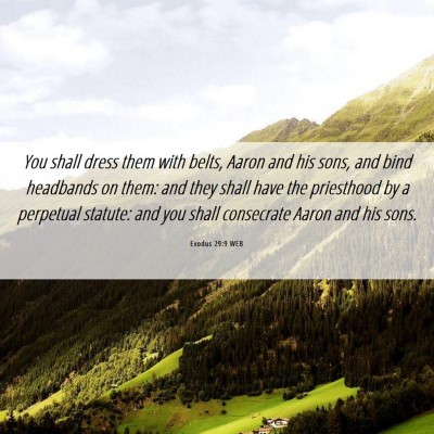 Picture 06 - Exodus 29:9 WEB - You shall dress them with belts, Aaron and his - Bible Verse Picture