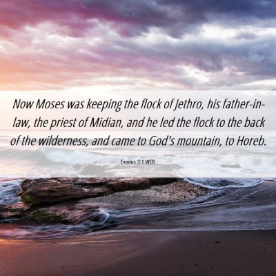 Picture 06 - Exodus 3:1 WEB - Now Moses was keeping the flock of Jethro, his - Bible Verse Picture