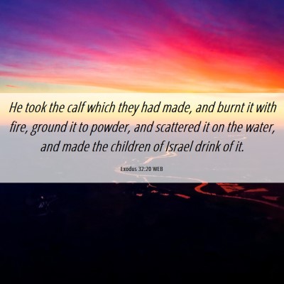 Picture 06 - Exodus 32:20 WEB - He took the calf which they had made, and burnt - Bible Verse Picture